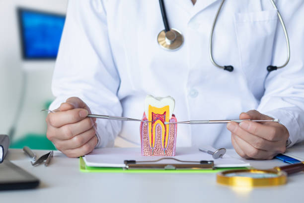 Best Broken or Cracked Tooth Emergency Dentist in Dillingham, AK